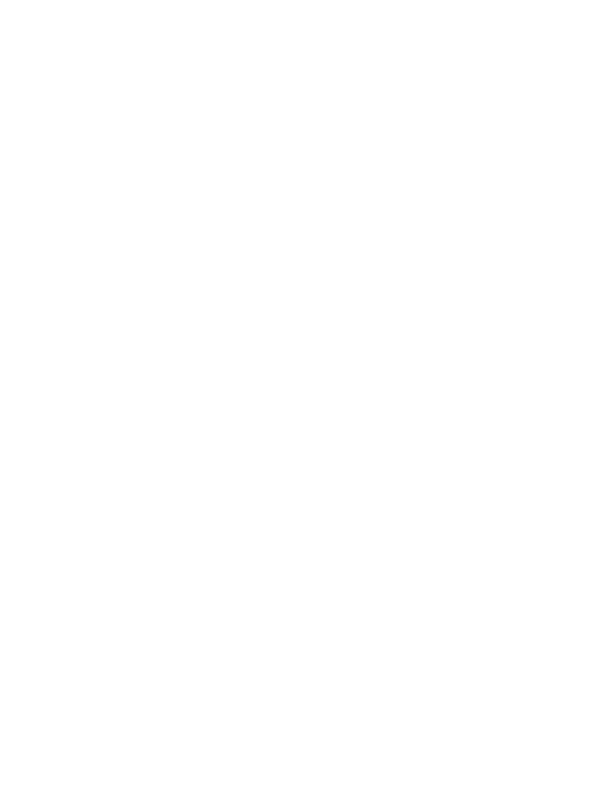 Chic Exotix cat logo