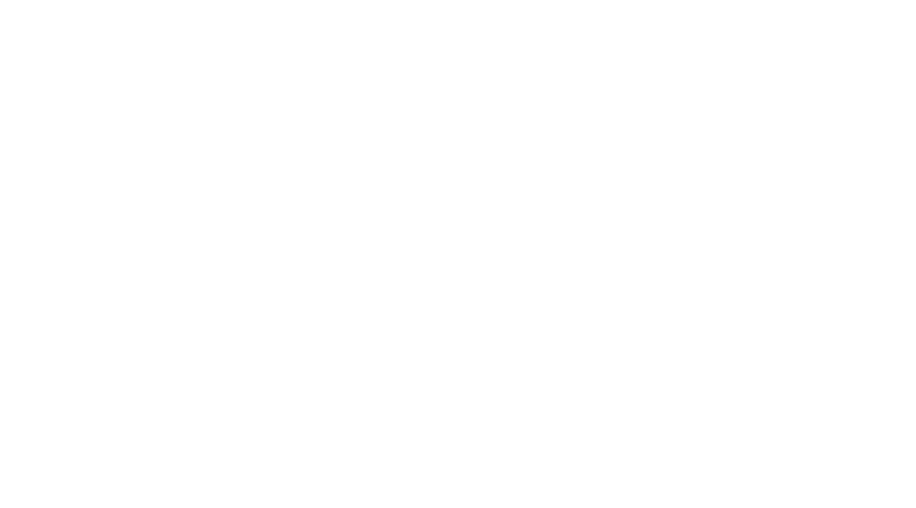 Bengal cat